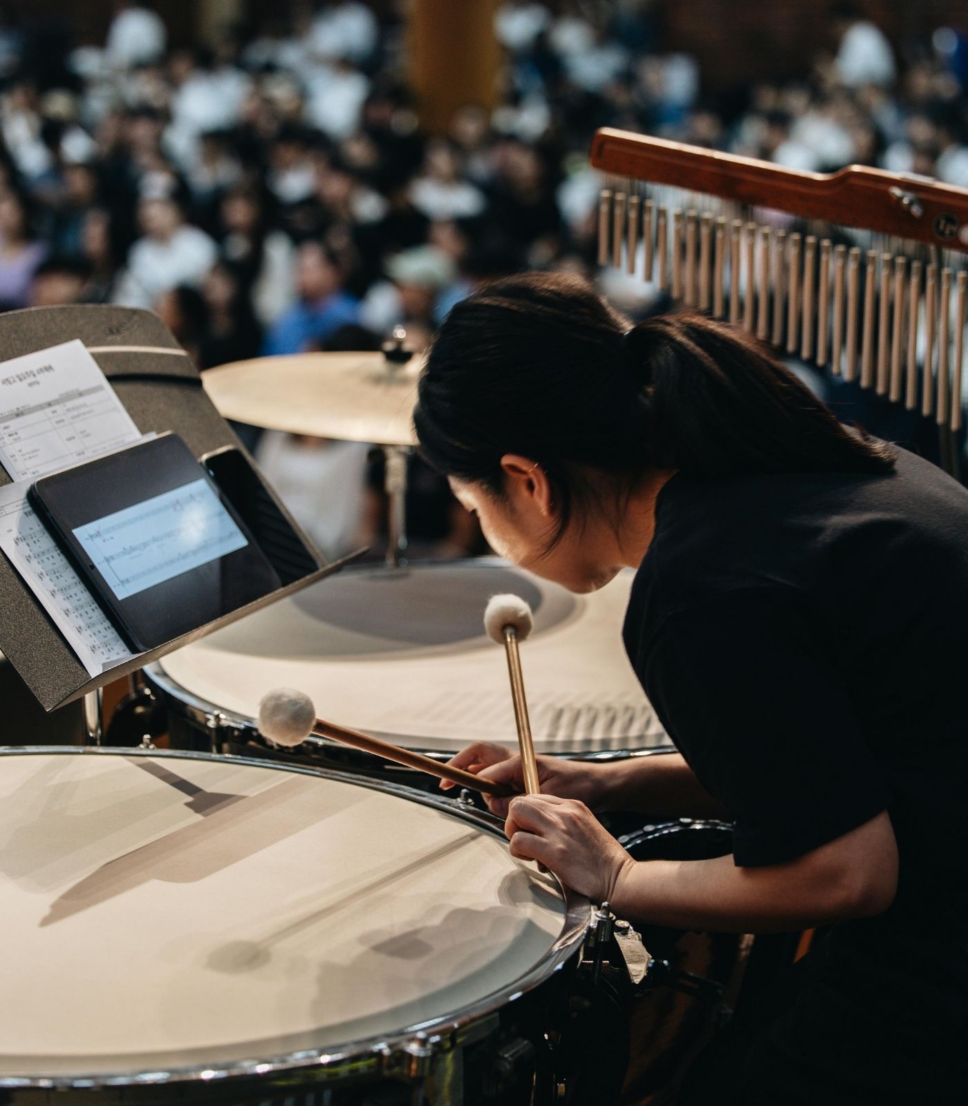 timpani